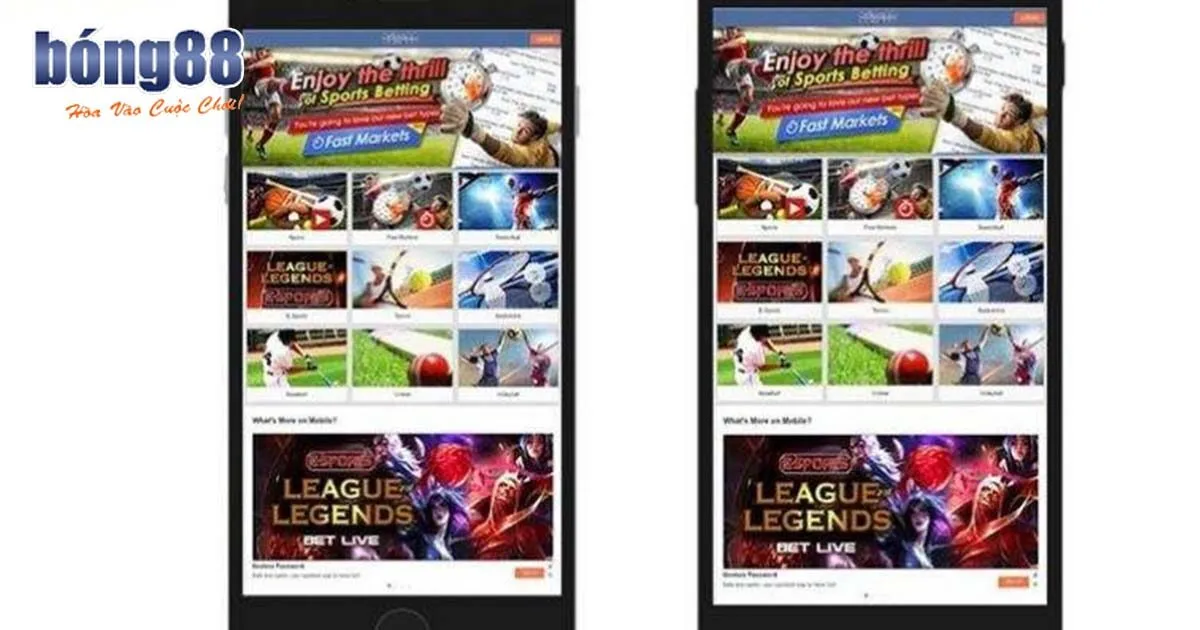 Tổng quan về nhà cái